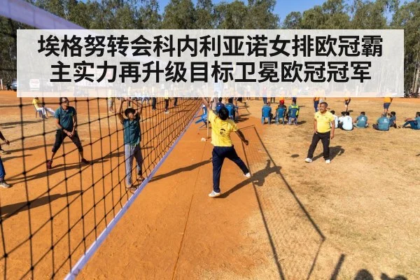 volleyball match