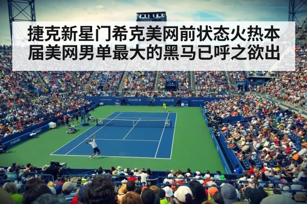 捷克新星门希克美网前状态火热本届美网男单最大的黑马已呼之欲出